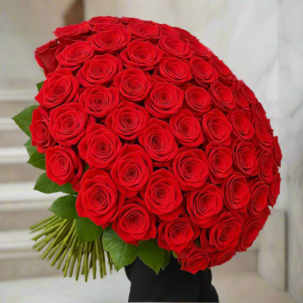 Long Stem XL Luxury Roses