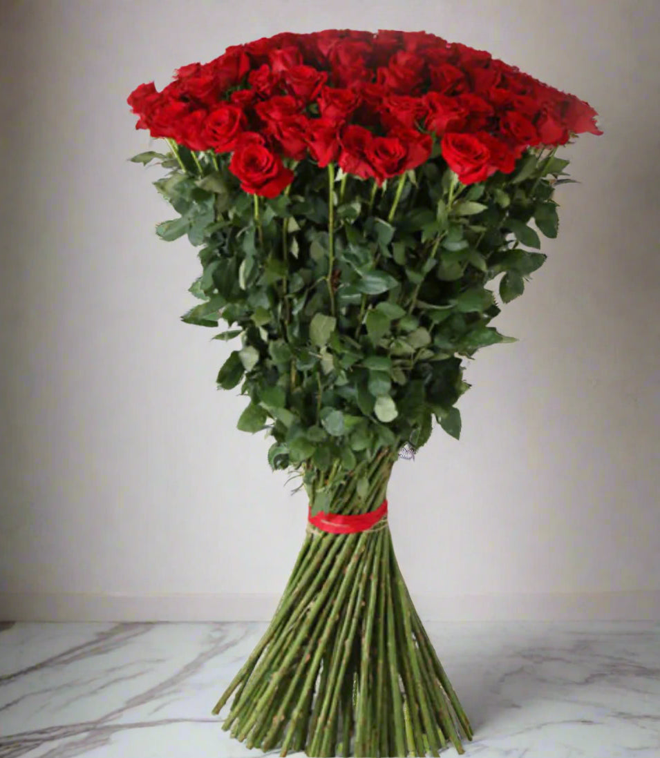 XXL Long Stem Roses